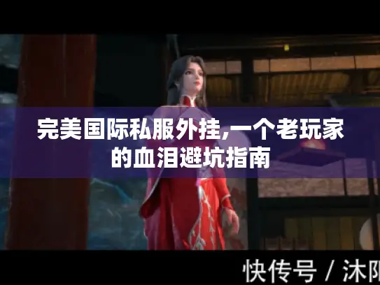 完美国际私服外挂,一个老玩家的血泪避坑指南