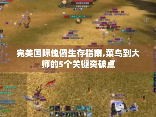 完美国际傀儡生存指南,菜鸟到大师的5个关键突破点 完美国际傀儡生存指南,菜鸟到大师的5个关键突破点