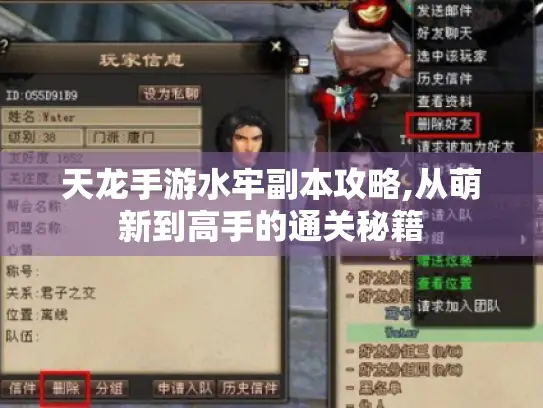 天龙手游水牢副本攻略,从萌新到高手的通关秘籍