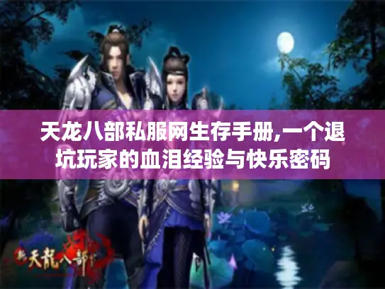 天龙八部私服网生存手册,一个退坑玩家的血泪经验与快乐密码
