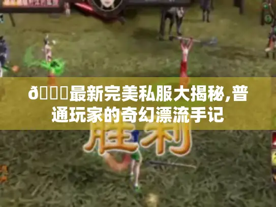 🌟最新完美私服大揭秘,普通玩家的奇幻漂流手记