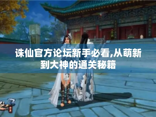 诛仙官方论坛新手必看,从萌新到大神的通关秘籍