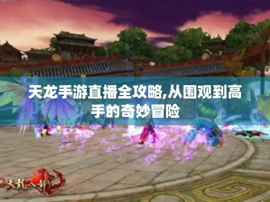 天龙手游直播全攻略,从围观到高手的奇妙冒险