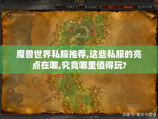 魔兽世界私服推荐,这些私服的亮点在哪,究竟哪里值得玩?
