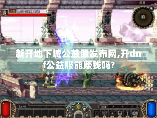 新开地下城公益服发布网,开dnf公益服能赚钱吗?