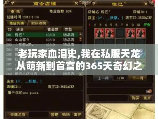 老玩家血泪史,我在私服天龙从萌新到首富的365天奇幻之旅