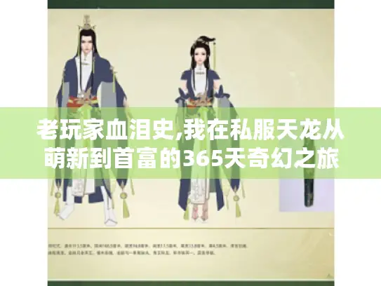 老玩家血泪史,我在私服天龙从萌新到首富的365天奇幻之旅