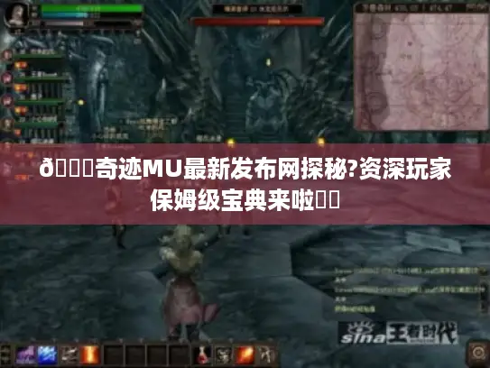 🔍奇迹MU最新发布网探秘?资深玩家保姆级宝典来啦⚔️