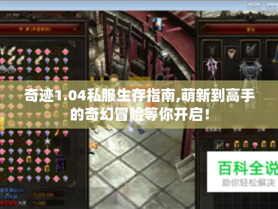 奇迹1.04私服生存指南,萌新到高手的奇幻冒险等你开启！