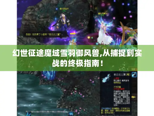 幻世征途魔域雪羽御风兽,从捕捉到实战的终极指南！