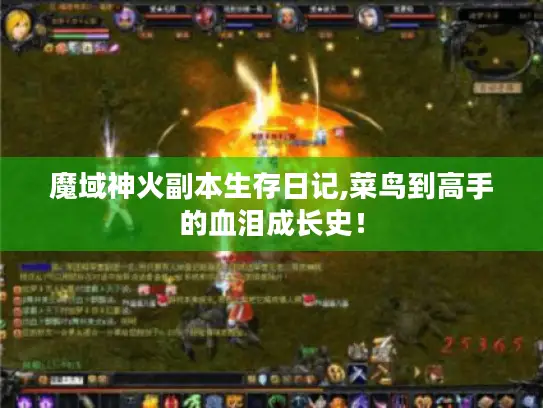 魔域神火副本生存日记,菜鸟到高手的血泪成长史! 魔域神火副本生存日记,菜鸟到高手的血泪成长史!