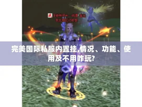 完美国际私服内置挂,情况、功能、使用及不用咋玩?
