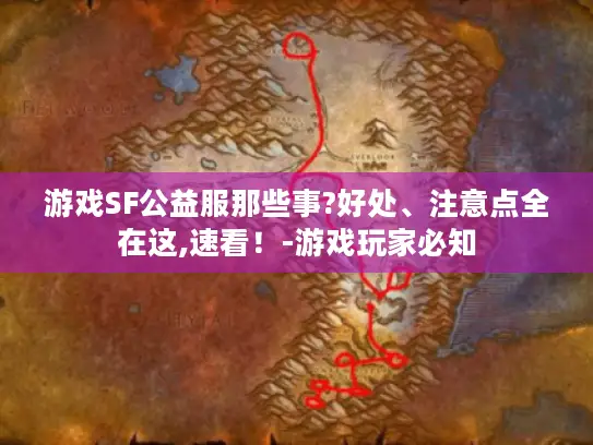 游戏SF公益服那些事?好处、注意点全在这,速看!-游戏玩家必知 游戏SF公益服那些事?好处、注意点全在这,速看!-游戏玩家必知