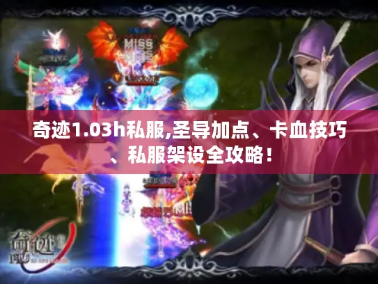 奇迹1.03h私服,圣导加点、卡血技巧、私服架设全攻略！