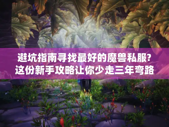 避坑指南寻找最好的魔兽私服?这份新手攻略让你少走三年弯路 避坑指南寻找最好的魔兽私服?这份新手攻略让你少走三年弯路