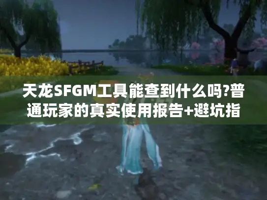 天龙SFGM工具能查到什么吗?普通玩家的真实使用报告+避坑指南