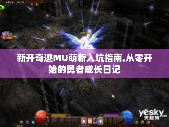 新开奇迹MU萌新入坑指南,从零开始的勇者成长日记