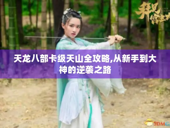 天龙八部卡级天山全攻略,从新手到大神的逆袭之路