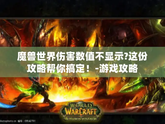 魔兽世界伤害数值不显示?这份攻略帮你搞定！-游戏攻略