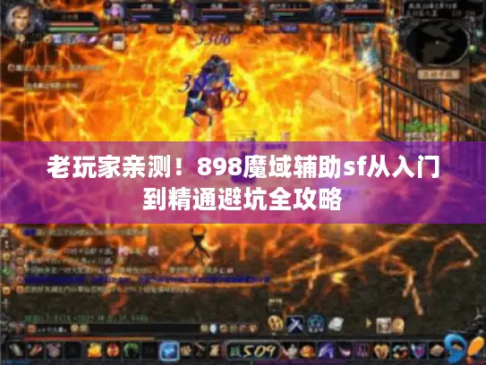 老玩家亲测！898魔域辅助sf从入门到精通避坑全攻略