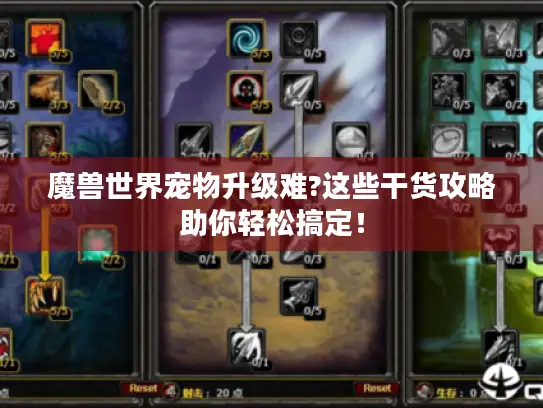 魔兽世界宠物升级难?这些干货攻略助你轻松搞定！