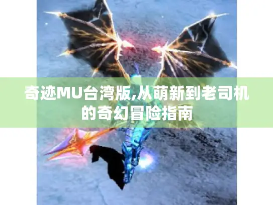 奇迹MU台湾版,从萌新到老司机的奇幻冒险指南