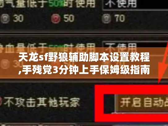 天龙sf野狼辅助脚本设置教程,手残党3分钟上手保姆级指南