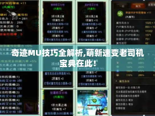 奇迹MU技巧全解析,萌新速变老司机宝典在此！