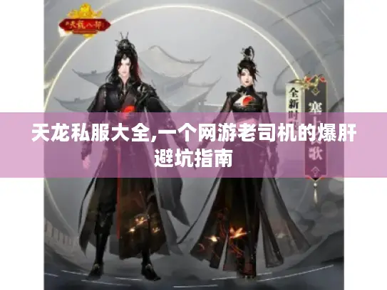 天龙私服大全,一个网游老司机的爆肝避坑指南