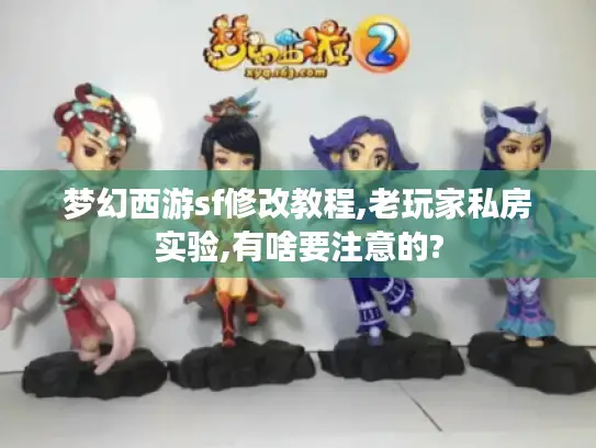 梦幻西游sf修改教程,老玩家私房实验,有啥要注意的? 梦幻西游sf修改教程,老玩家私房实验,有啥要注意的?