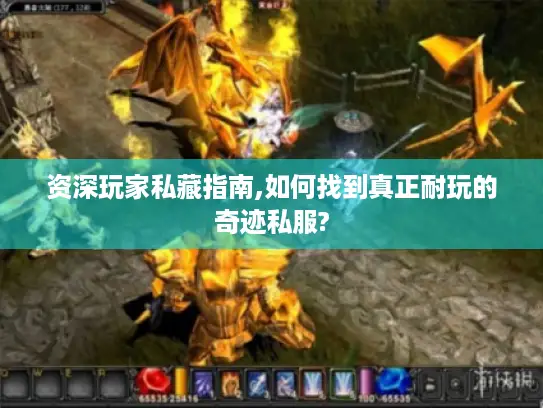 资深玩家私藏指南,如何找到真正耐玩的奇迹私服?