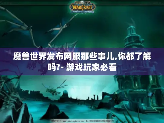 魔兽世界发布网服那些事儿,你都了解吗?- 游戏玩家必看