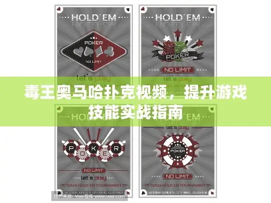 毒王奥马哈扑克视频，提升游戏技能实战指南