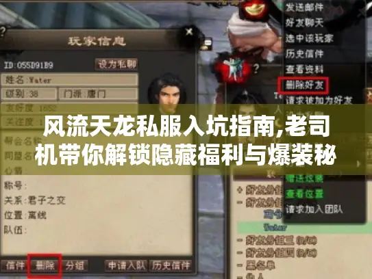风流天龙私服入坑指南,老司机带你解锁隐藏福利与爆装秘籍