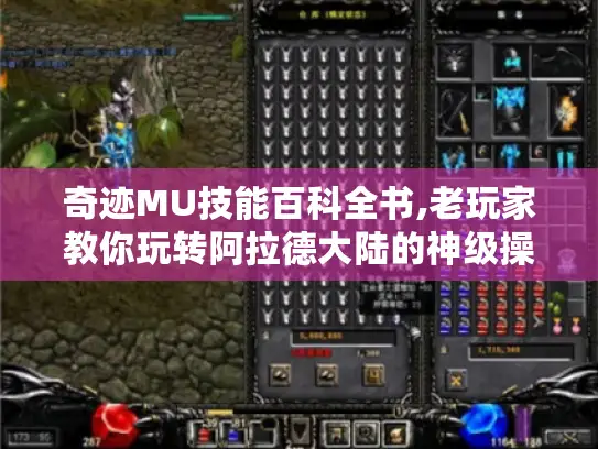 奇迹MU技能百科全书,老玩家教你玩转阿拉德大陆的神级操作