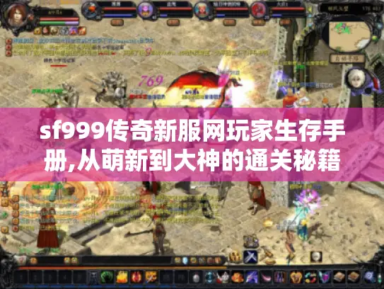 sf999传奇新服网玩家生存手册,从萌新到大神的通关秘籍
