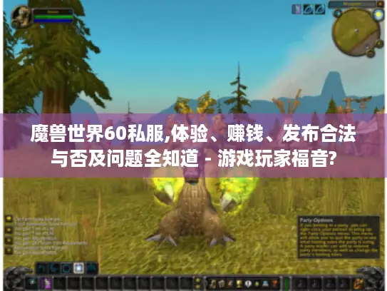 魔兽世界60私服,体验、赚钱、发布合法与否及问题全知道 - 游戏玩家福音?