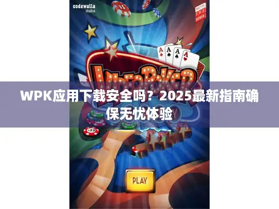WPK应用下载安全吗？2025最新指南确保无忧体验