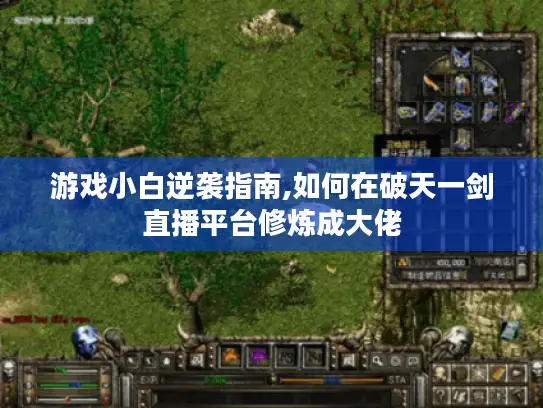 游戏小白逆袭指南,如何在破天一剑直播平台修炼成大佬