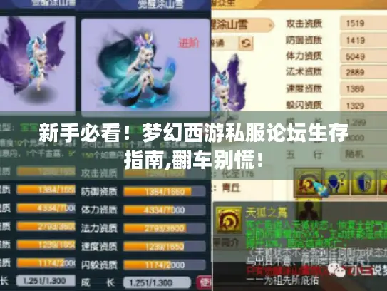 新手必看！梦幻西游私服论坛生存指南,翻车别慌！
