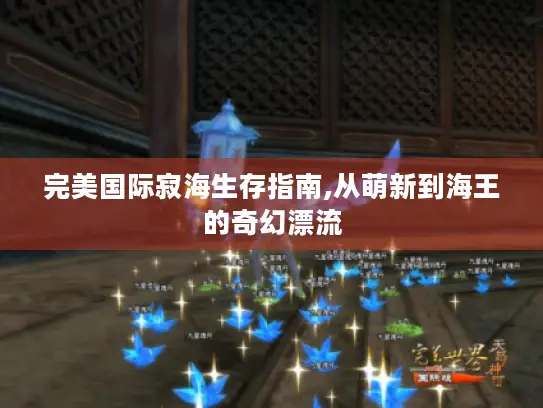 完美国际寂海生存指南,从萌新到海王的奇幻漂流 完美国际寂海生存指南,从萌新到海王的奇幻漂流