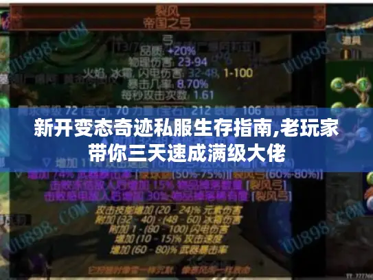 新开变态奇迹私服生存指南,老玩家带你三天速成满级大佬