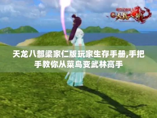 天龙八部梁家仁版玩家生存手册,手把手教你从菜鸟变武林高手 天龙八部梁家仁版玩家生存手册,手把手教你从菜鸟变武林高手