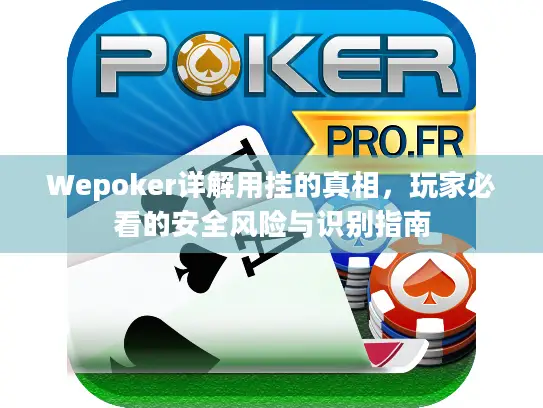 Wepoker详解用挂的真相，玩家必看的安全风险与识别指南