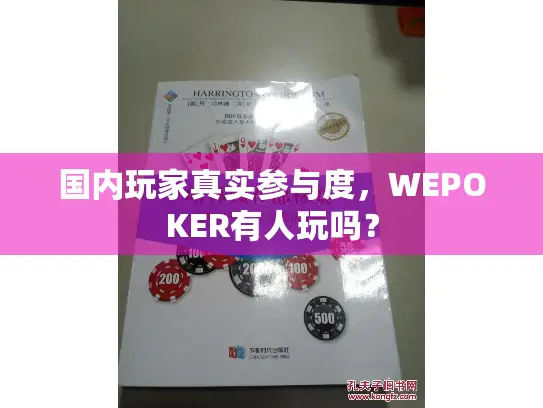 国内玩家真实参与度,WEPOKER有人玩吗? 国内玩家真实参与度,WEPOKER有人玩吗?