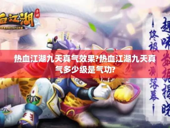 热血江湖九天真气效果?热血江湖九天真气多少级是气功?