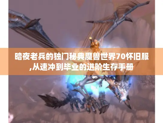 暗夜老兵的独门秘典魔兽世界70怀旧服,从速冲到毕业的进阶生存手册