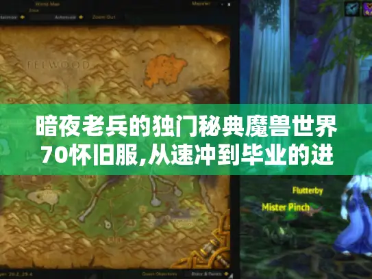 暗夜老兵的独门秘典魔兽世界70怀旧服,从速冲到毕业的进阶生存手册