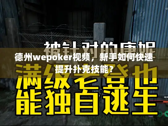 德州wepoker视频，新手如何快速提升扑克技能？