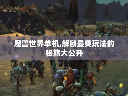 魔兽世界单机,解锁最爽玩法的秘籍大公开
